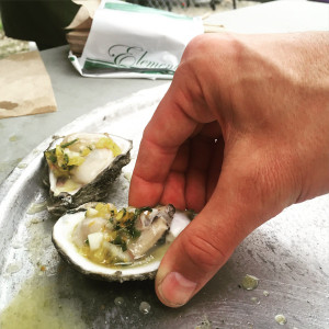 Two of about three hundred dozen oysters brought to the event.