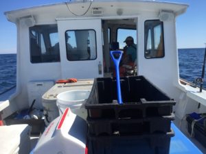 Strategizing the next fishing stop.